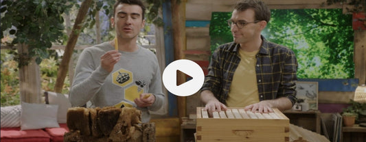 COMPRENDRE LES ABEILLES "C'EST PAS SORCIER"