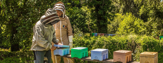 LA JEUNESSE SE MOBILISE POUR SAUVER LES ABEILLES