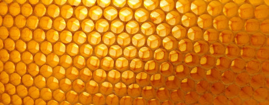 À LA DÉCOUVERTE DE L'ABEILLE. EPISODE 7: LES TRÉSORS DE LA RUCHE