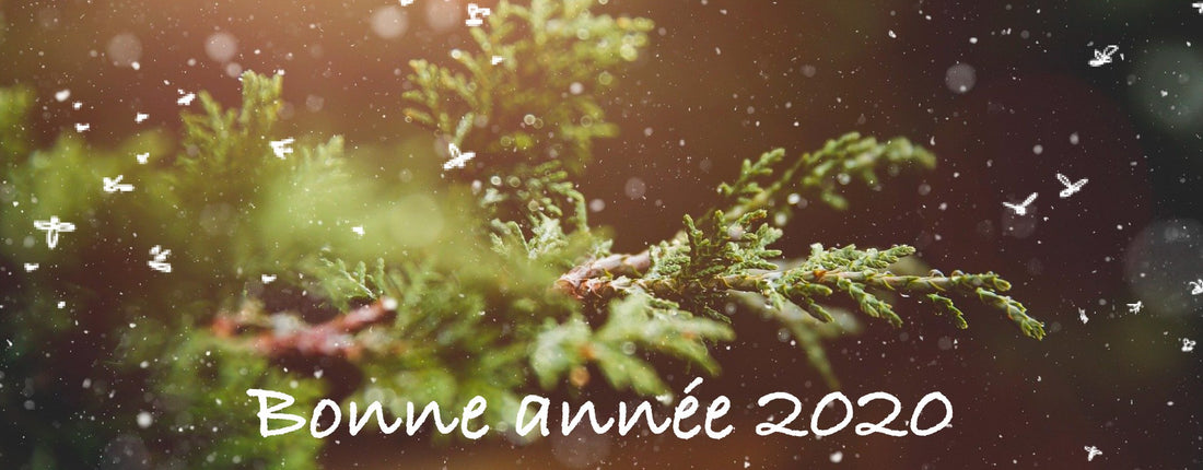 ET SI 2020 ÉTAIT L'ANNÉE DES ABEILLES ET DU MIEL FRANÇAIS ?